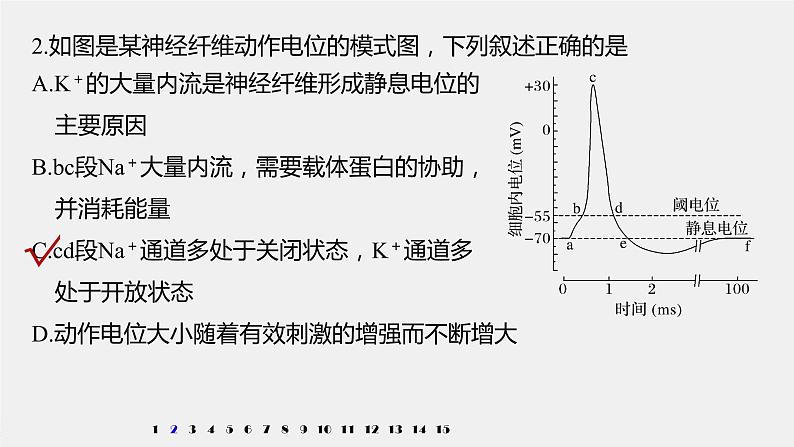 高中生物苏教版（2019）选择性必修1第一章人体稳态维持的生理基础 重点突破练(一)（学案+课件）04