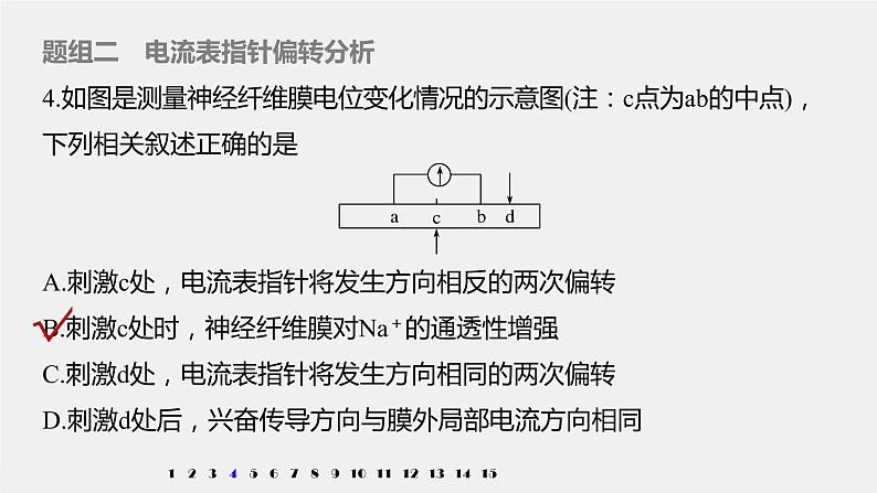 高中生物苏教版（2019）选择性必修1第一章人体稳态维持的生理基础 重点突破练(一)（学案+课件）07