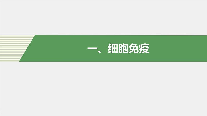 高中生物苏教版（2019）选择性必修一第三章  第一节 第2课时 细胞免疫、免疫制剂及神经调节、体液调节和免疫调节的关系（学案+课件）04