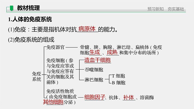 高中生物苏教版（2019）选择性必修一第三章 第一节 第1课时 人体的免疫系统、非特异性免疫和体液免疫（学案+课件）05