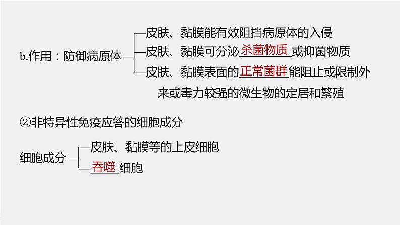 高中生物苏教版（2019）选择性必修一第三章 第一节 第1课时 人体的免疫系统、非特异性免疫和体液免疫（学案+课件）07