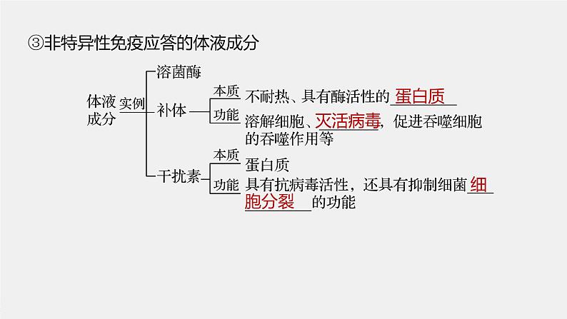 高中生物苏教版（2019）选择性必修一第三章 第一节 第1课时 人体的免疫系统、非特异性免疫和体液免疫（学案+课件）08