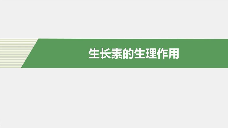 高中生物苏教版（2019）选择性必修一第四章  第一节 第2课时 生长素的生理作用（学案+课件）04