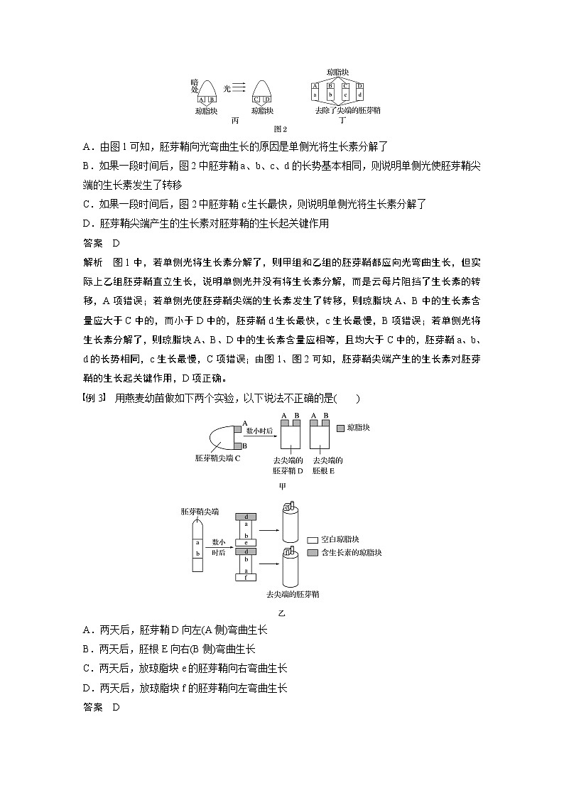 高中生物苏教版（2019）选择性必修一第四章 微专题四 生长素生理作用的相关曲线分析和实验设计（学案+课件）03