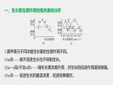 高中生物苏教版（2019）选择性必修一第四章 微专题四 生长素生理作用的相关曲线分析和实验设计（学案+课件）