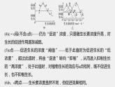 高中生物苏教版（2019）选择性必修一第四章 微专题四 生长素生理作用的相关曲线分析和实验设计（学案+课件）