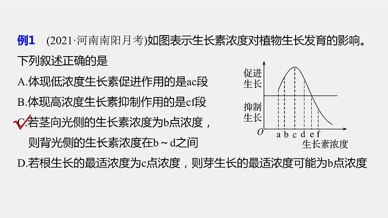 高中生物苏教版（2019）选择性必修一第四章 微专题四 生长素生理作用的相关曲线分析和实验设计（学案+课件）05