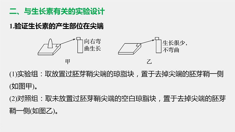 高中生物苏教版（2019）选择性必修一第四章 微专题四 生长素生理作用的相关曲线分析和实验设计（学案+课件）07