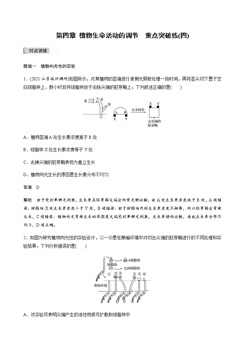 高中生物苏教版（2019）选择性必修一第四章 植物生命活动的调节 重点突破练(四)（学案+课件）01