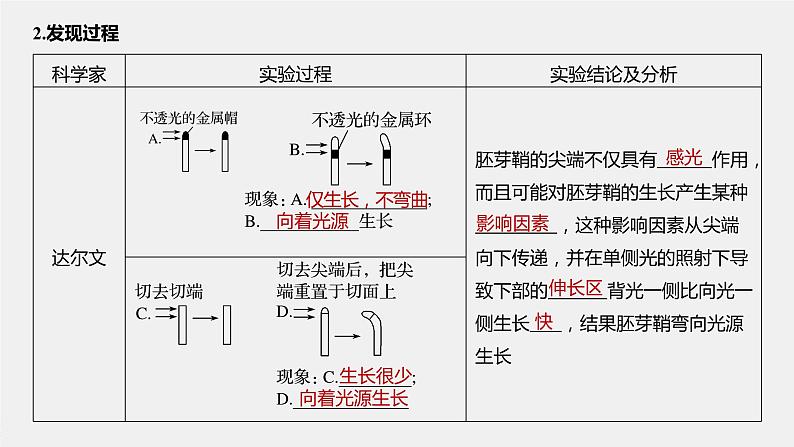 高中生物苏教版（2019）选择性必修一第四章 第一节 第1课时 生长素的发现和生长素的合成、分布与运输（学案+课件81张ppt）06