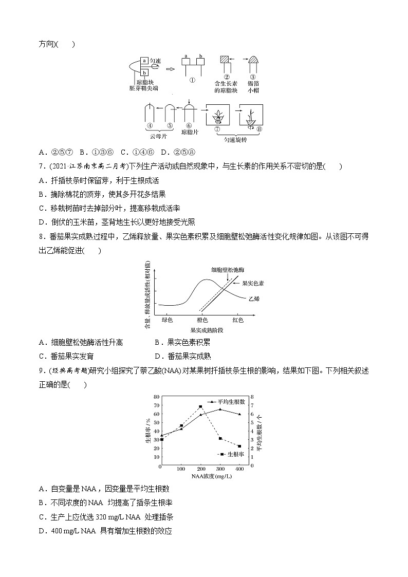 高中生物苏教版（2019）选择性必修一第四章 植物生命活动的调节 章末检测试卷(四)（word版含解析）02