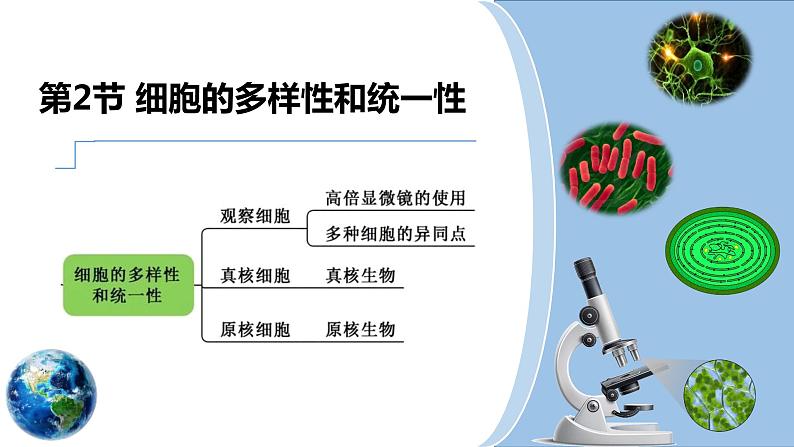 1.2细胞的多样性和统一性课件-2021-2022学年高一上学期生物人教版（2019）必修101