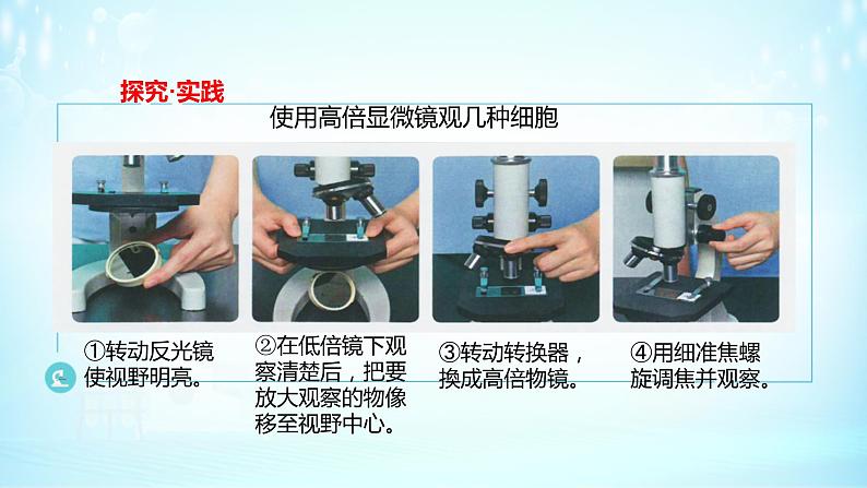 1.2细胞的多样性和统一性课件-2021-2022学年高一上学期生物人教版（2019）必修104