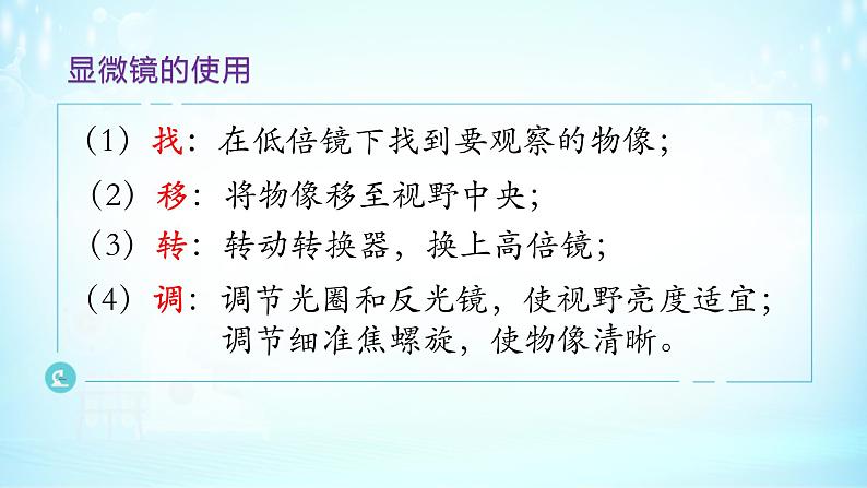 1.2细胞的多样性和统一性课件-2021-2022学年高一上学期生物人教版（2019）必修106