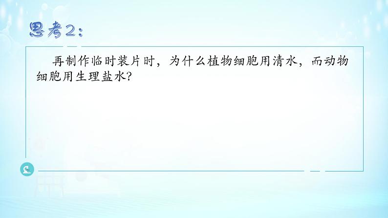 1.2细胞的多样性和统一性课件-2021-2022学年高一上学期生物人教版（2019）必修107