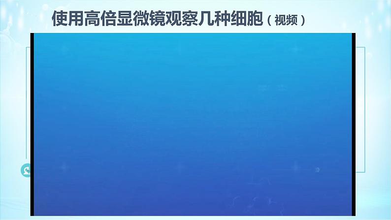 1.2细胞的多样性和统一性课件-2021-2022学年高一上学期生物人教版（2019）必修108