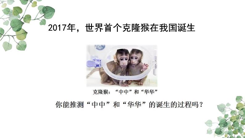 3.3 细胞核的结构和功能课件-2021-2022学年高一上学期生物人教版（2019）必修1第3页