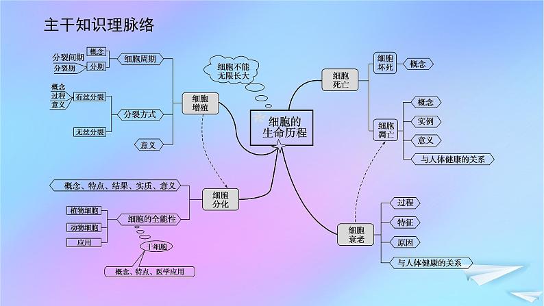 2022_2023学年新教材高中生物专项培优五细胞的生命历程课件新人教版必修102