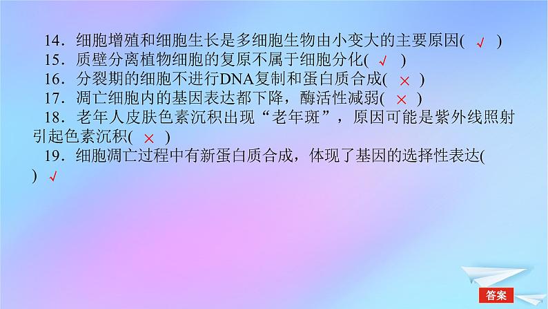 2022_2023学年新教材高中生物专项培优五细胞的生命历程课件新人教版必修106