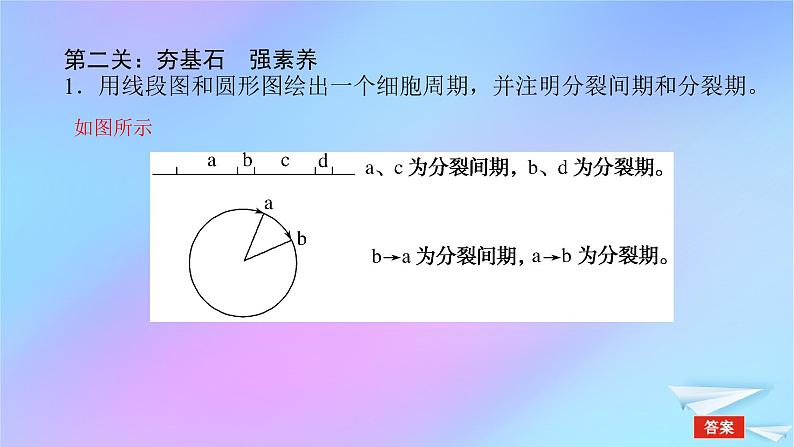 2022_2023学年新教材高中生物专项培优五细胞的生命历程课件新人教版必修107