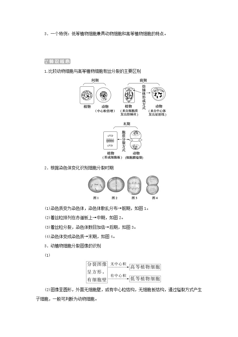 2022_2023学年新教材高中生物第6章细胞的生命历程第1节细胞的增殖第2课时动植物细胞有丝分裂的区别和观察有丝分裂实验课堂互动探究案新人教版必修1 学案03