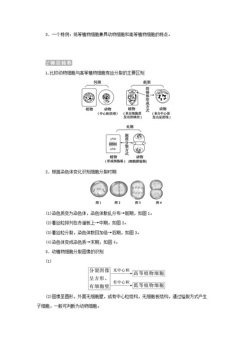 2022_2023学年新教材高中生物第6章细胞的生命历程第1节细胞的增殖第2课时动植物细胞有丝分裂的区别和观察有丝分裂实验课堂互动探究案新人教版必修1第3页