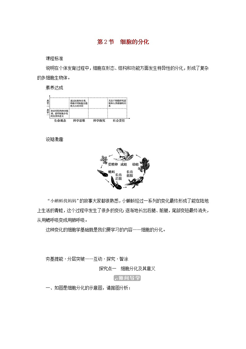 2022_2023学年新教材高中生物第6章细胞的生命历程第2节细胞的分化课堂互动探究案新人教版必修1 学案01
