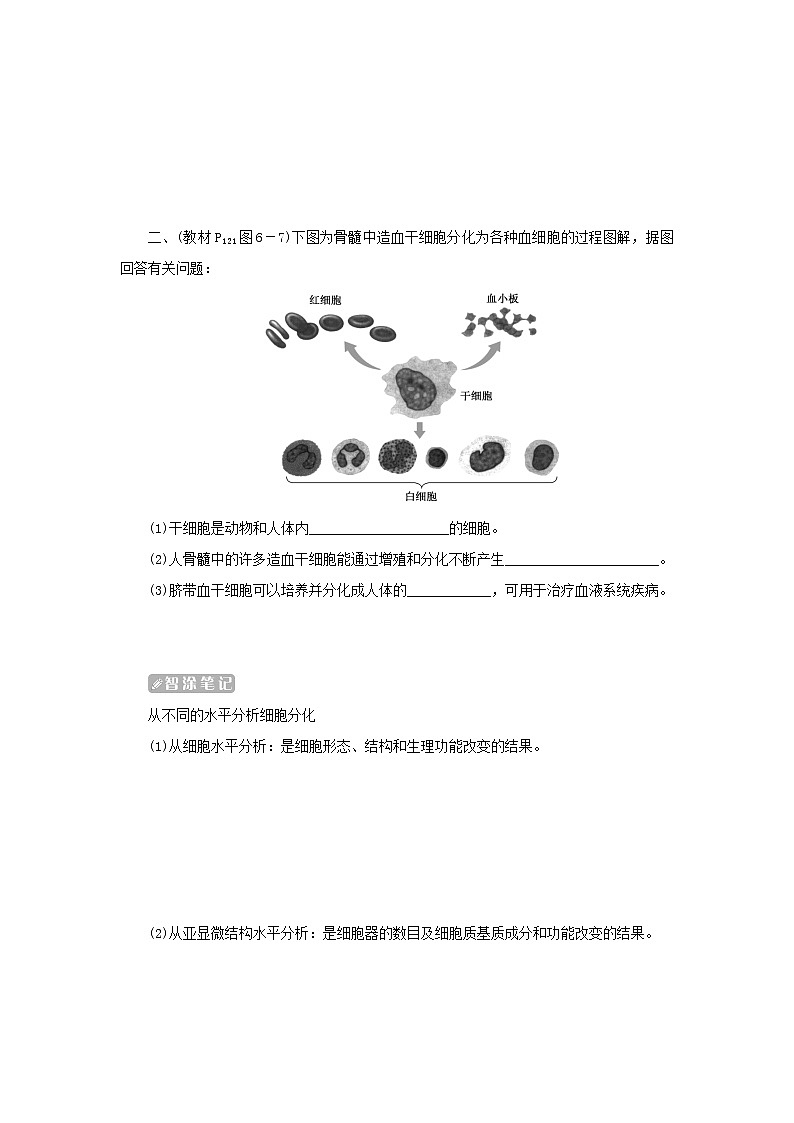 2022_2023学年新教材高中生物第6章细胞的生命历程第2节细胞的分化课堂互动探究案新人教版必修1 学案03