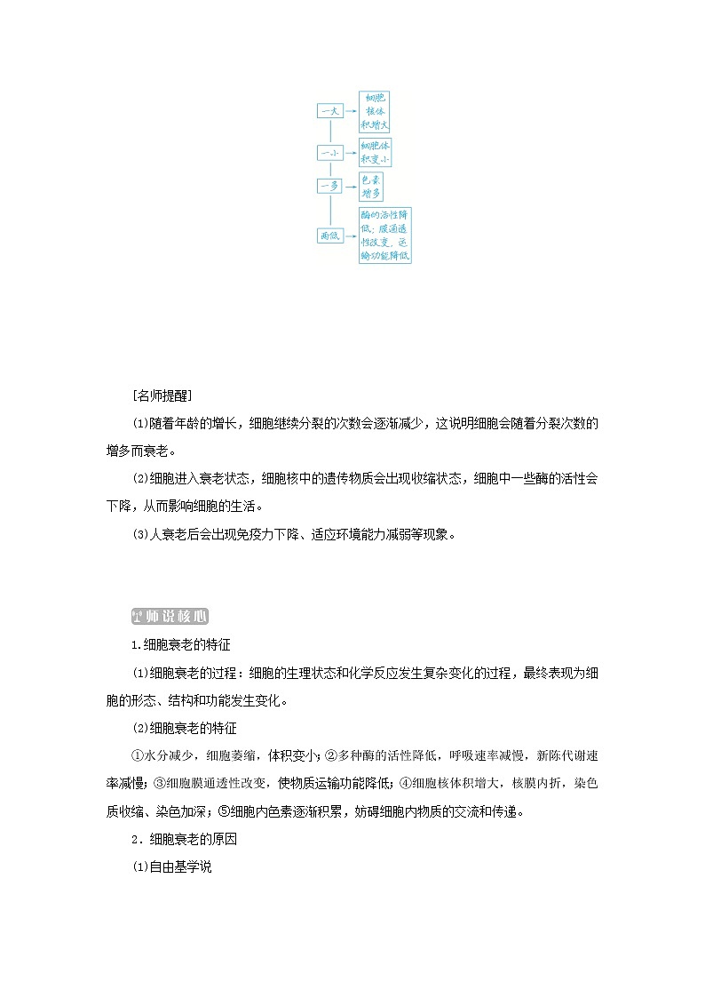 2022_2023学年新教材高中生物第6章细胞的生命历程第3节细胞的衰老和死亡课堂互动探究案新人教版必修1 学案03