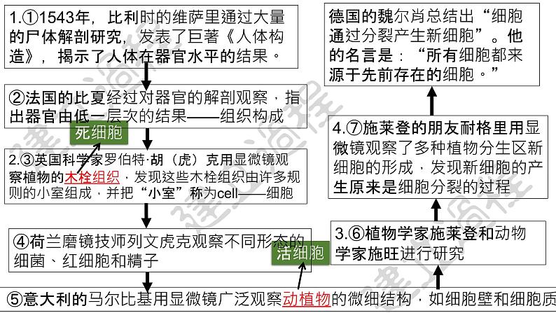 1.1细胞是生命活动的基本单位 课件06