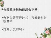 2.1 通过神经系统的调节 课件