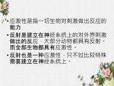 2.1 通过神经系统的调节 课件