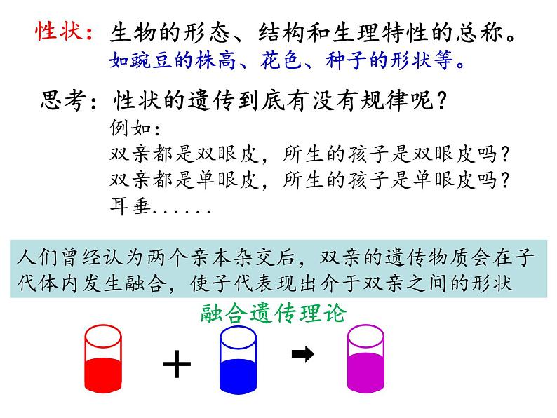 1.1孟德尔的豌豆杂交实验（一）课件2021-2022学年高一下学期生物人教版必修2第3页