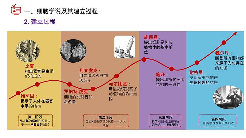 1.1 细胞是生命活动的基本单位1第5页