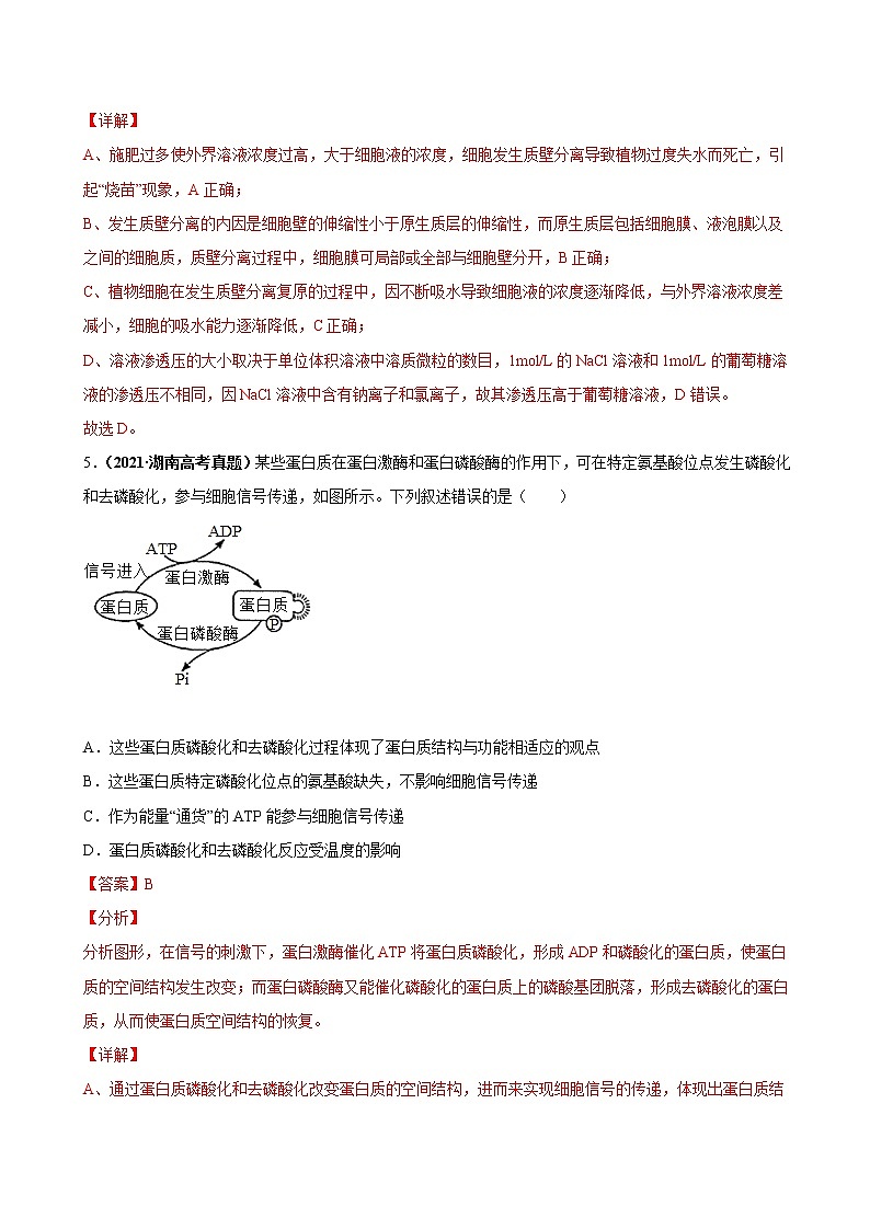 专题02 物质运输、酶与ATP-三年（2019-2021）高考生物真题分项汇编含答案03