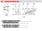 人教版《自由组合定律特殊情况应用》复习课件