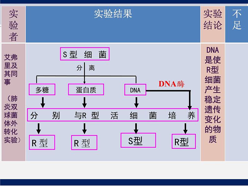 人教版《DNA是主要的遗传物质》一轮复习课件第6页