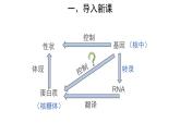 【教学课件】第1节 基因指导蛋白质的合成 第1课时 示范课件29