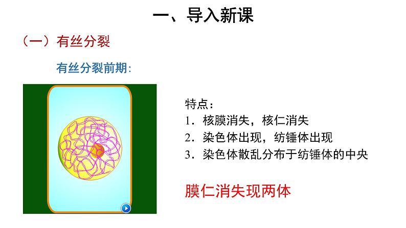 【教学课件】第1节 减数分裂和受精作用 第1课时 示范课件4903