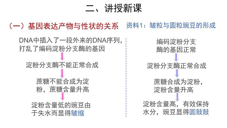 【教学课件】第2节 基因表达与性状的关系 示范课件27第5页