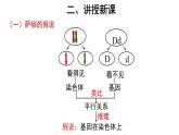 【教学课件】第2节 基因在染色体上 示范课件27