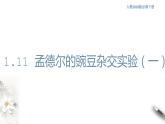 【新教材精创】1.1.1 孟德尔的豌豆杂交实验（一） 课件（1）-人教版高中生物必修2遗传与进化(共25张PPT)