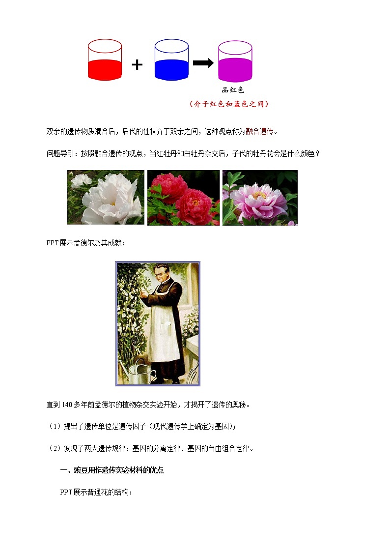 【新教材精创】1.1.1 孟德尔的豌豆杂交实验（一） 教学设计（2）-人教版高中生物必修2遗传与进化02