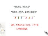 【新教材精创】1.1.1 孟德尔的豌豆杂交实验（一） 课件（2）-人教版高中生物必修2遗传与进化(共26张PPT)