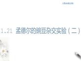 【新教材精创】1.2.1 孟德尔的豌豆杂交实验（二） 课件（1）-人教版高中生物必修2遗传与进化(共13张PPT)