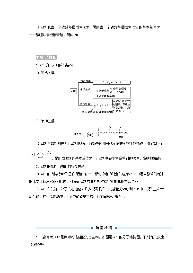2022_2023学年新教材高中生物第5章细胞的能量供应和利用第2节细胞的能量“货币”ATP课堂互动探究案新人教版必修1第3页