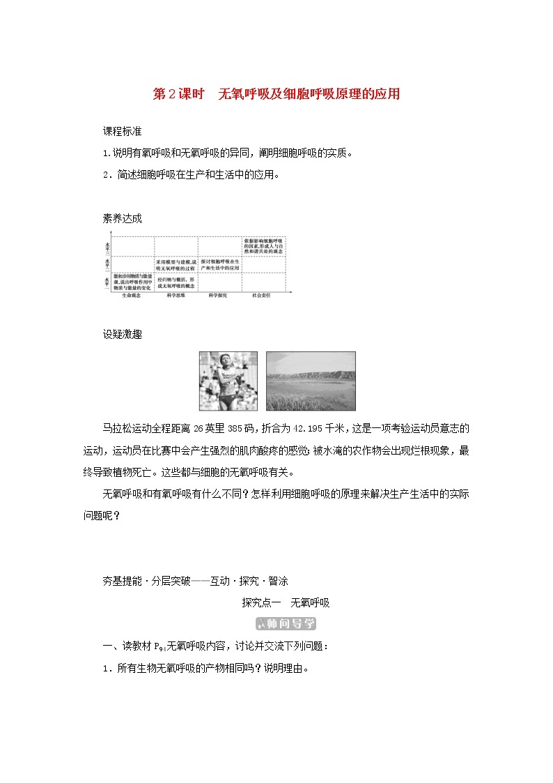 2022_2023学年新教材高中生物第5章细胞的能量供应和利用第3节细胞呼吸的原理和应用第2课时无氧呼吸及细胞呼吸原理的应用课堂互动探究案新人教版必修1 学案01