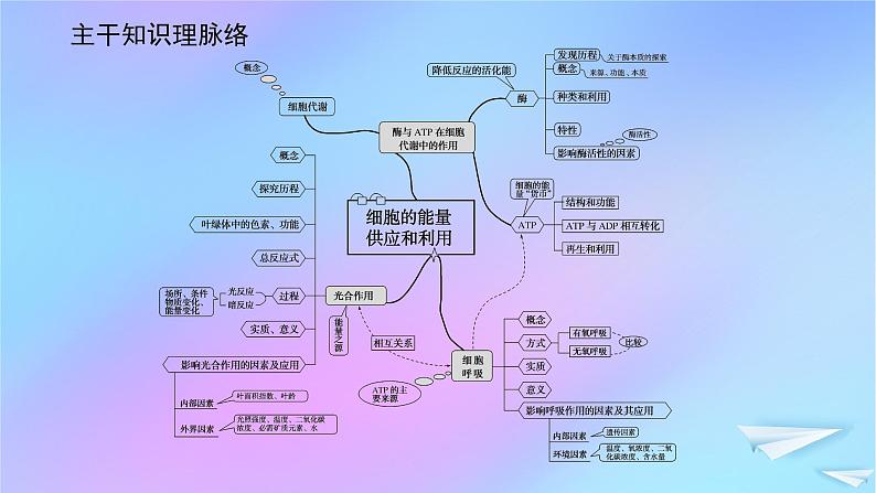 2022_2023学年新教材高中生物专项培优四细胞的能量供应和利用课件新人教版必修102