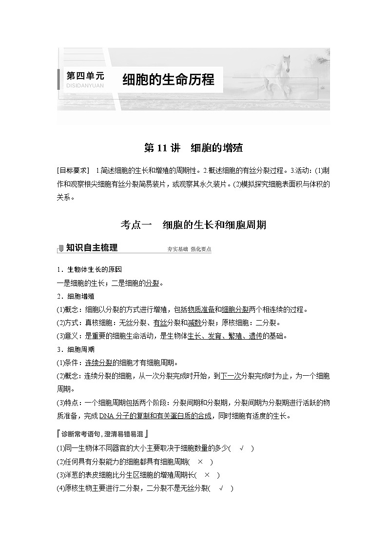 11 2022年高考生物一轮复习（新高考版2(鲁辽)适用） 第4单元 第11讲 细胞的增殖 教案01