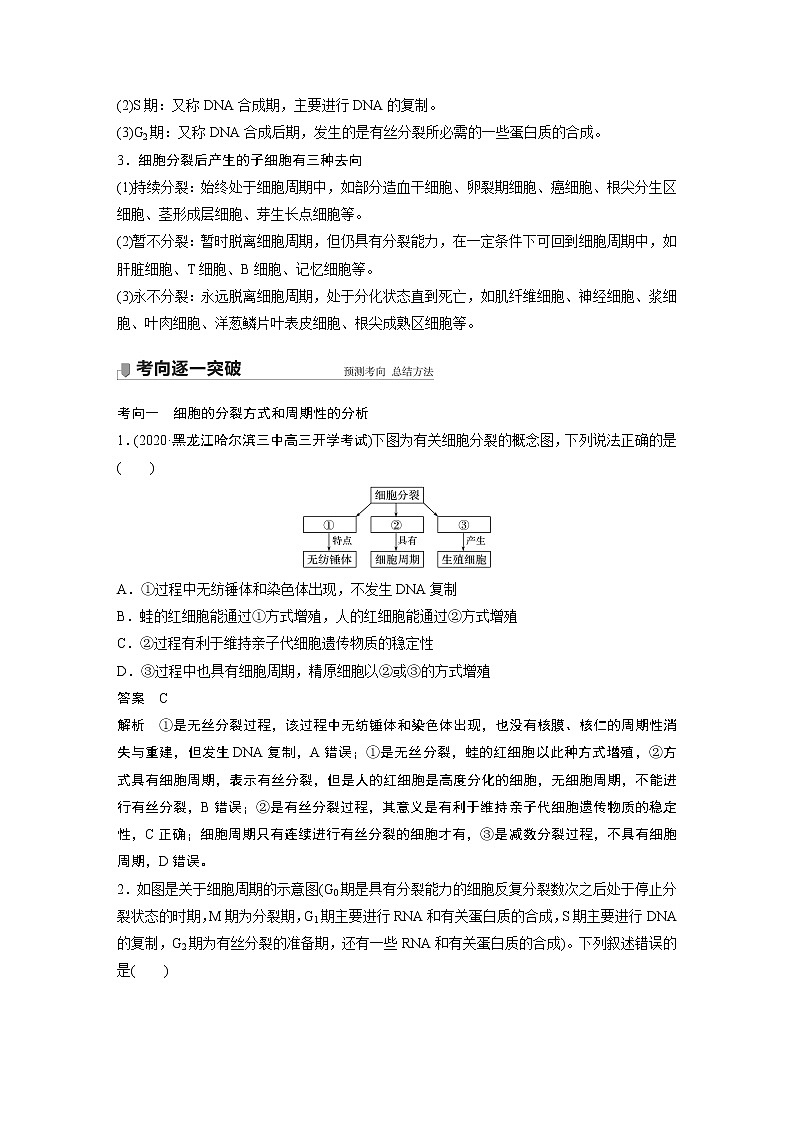 11 2022年高考生物一轮复习（新高考版2(鲁辽)适用） 第4单元 第11讲 细胞的增殖 教案03